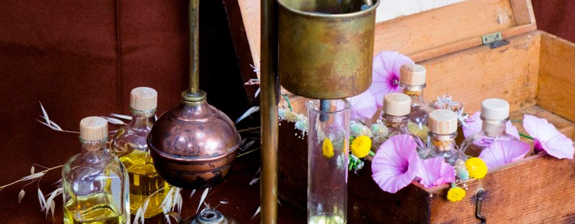 www.perfumarte.com